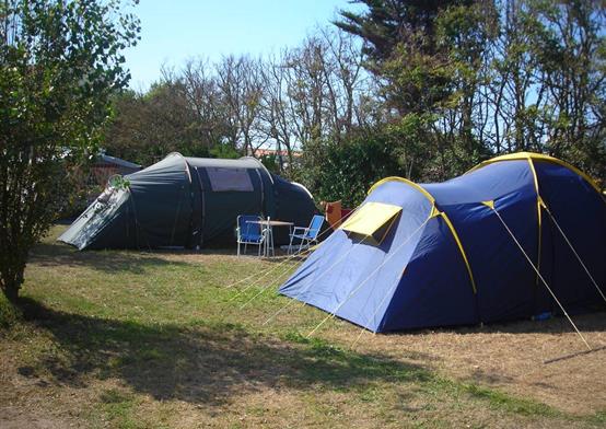 Emplacements tente et caravane Camping** La Padrelle à Saint Hilaire de Riez en Vendée - La Padrelle - Camping Saint Hilaire de Riez