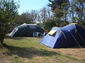 Emplacements tente et caravane Camping** La Padrelle à Saint Hilaire de Riez en Vendée - La Padrelle - Camping Saint Hilaire de Riez