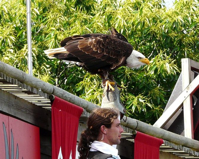 Le Puy du Fou (3) Le Puy du Fou (3)